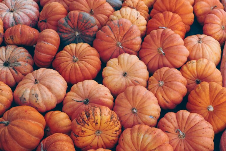 pumpkin-7496159_1280